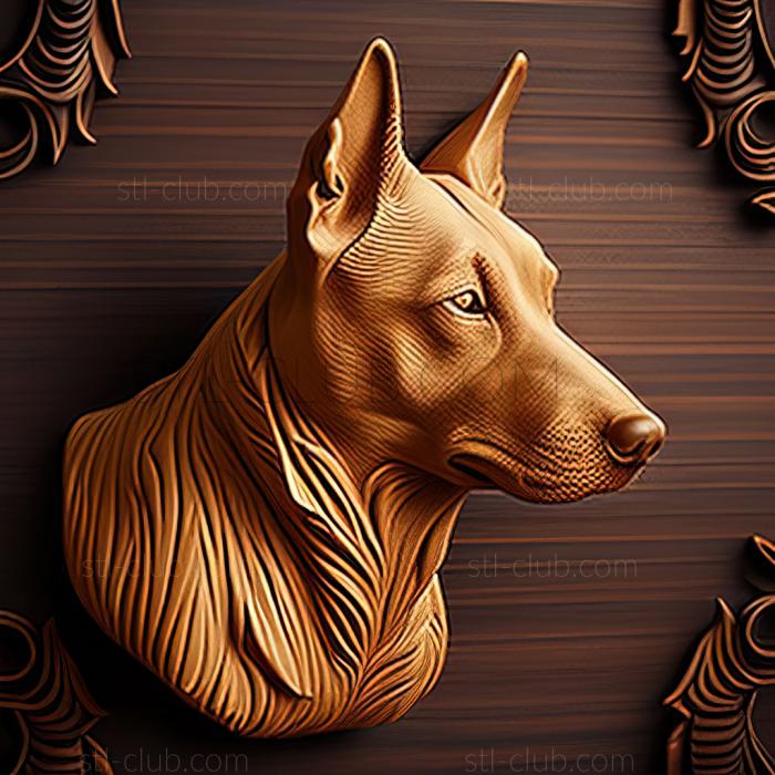 st Thai Ridgeback dog